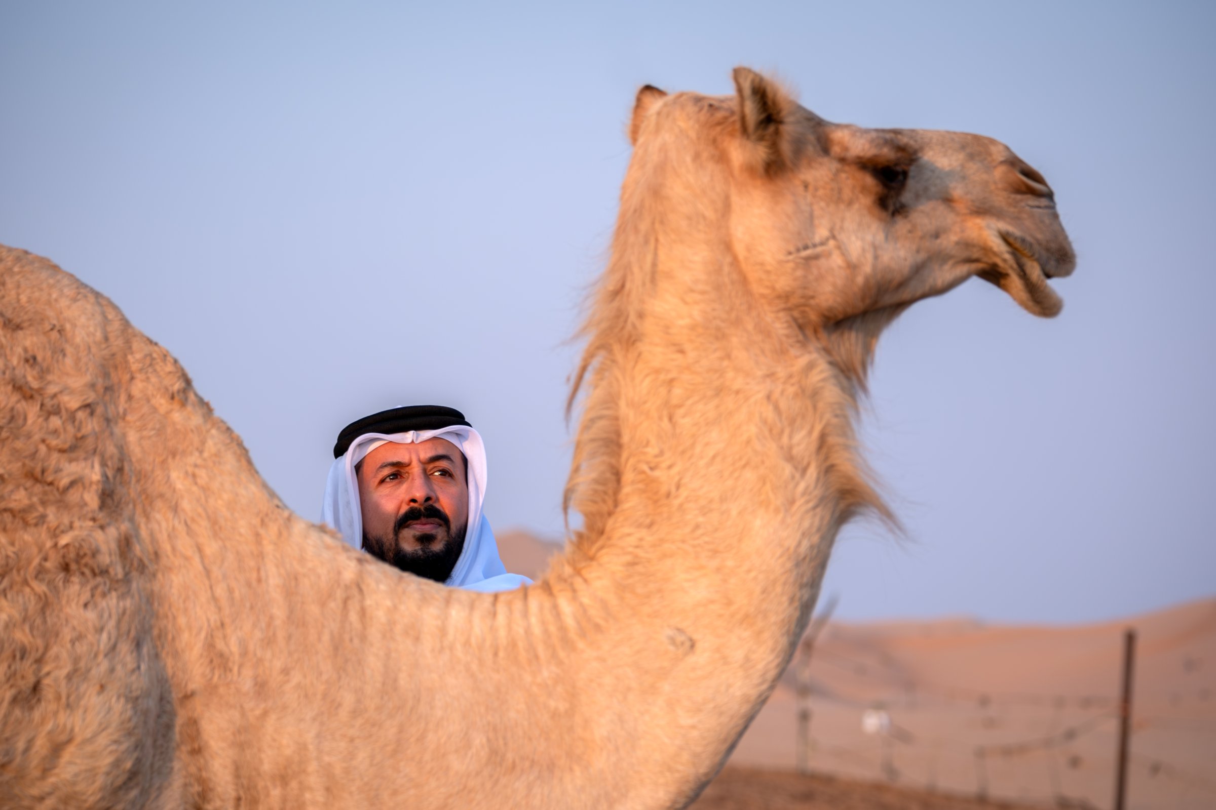Camel