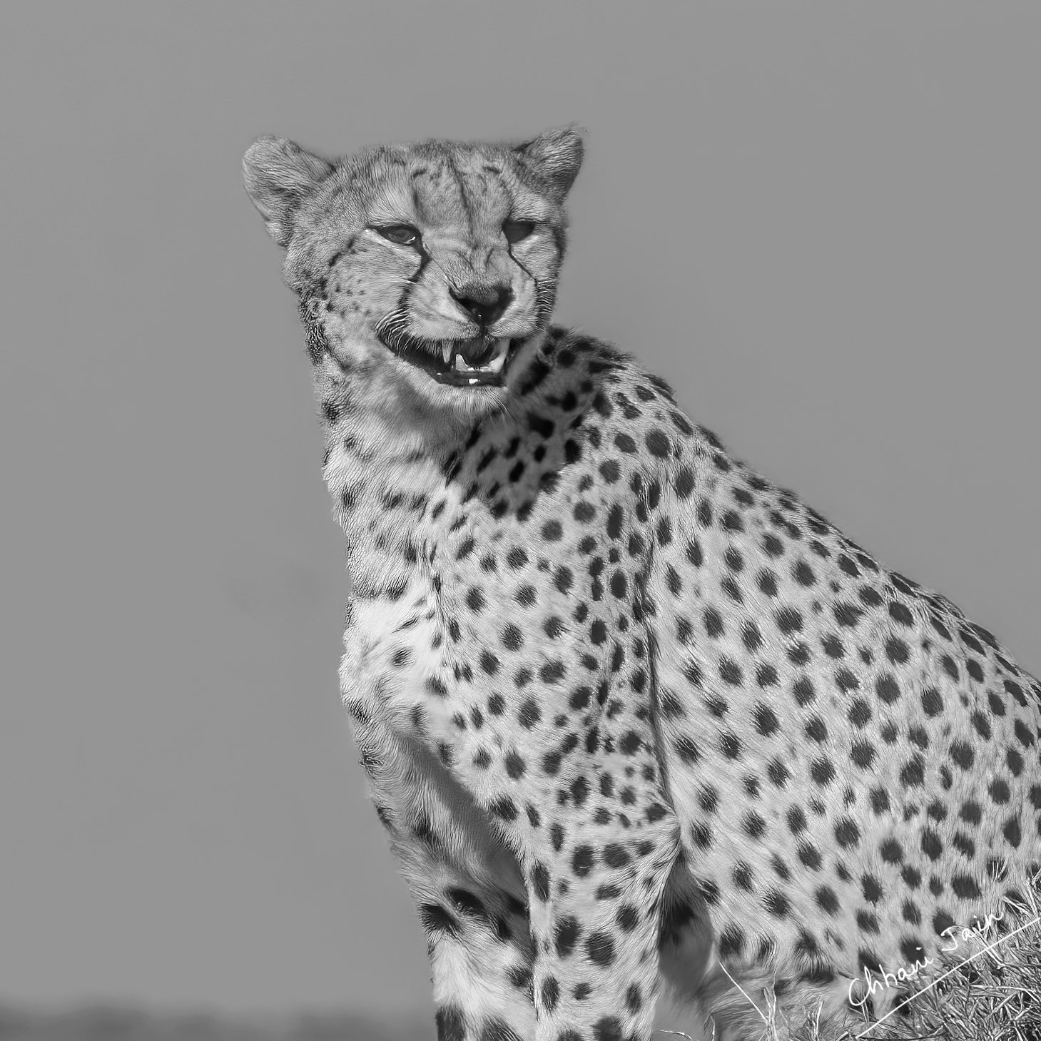 Masai Mara